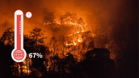 An icon of a red thermometer with a globe in it. The background of the image shows a forest fire.
